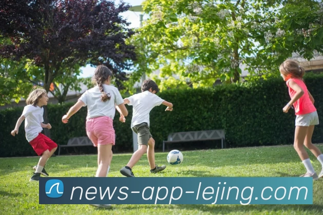 App Interface Preview